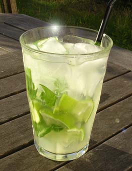 Mojito